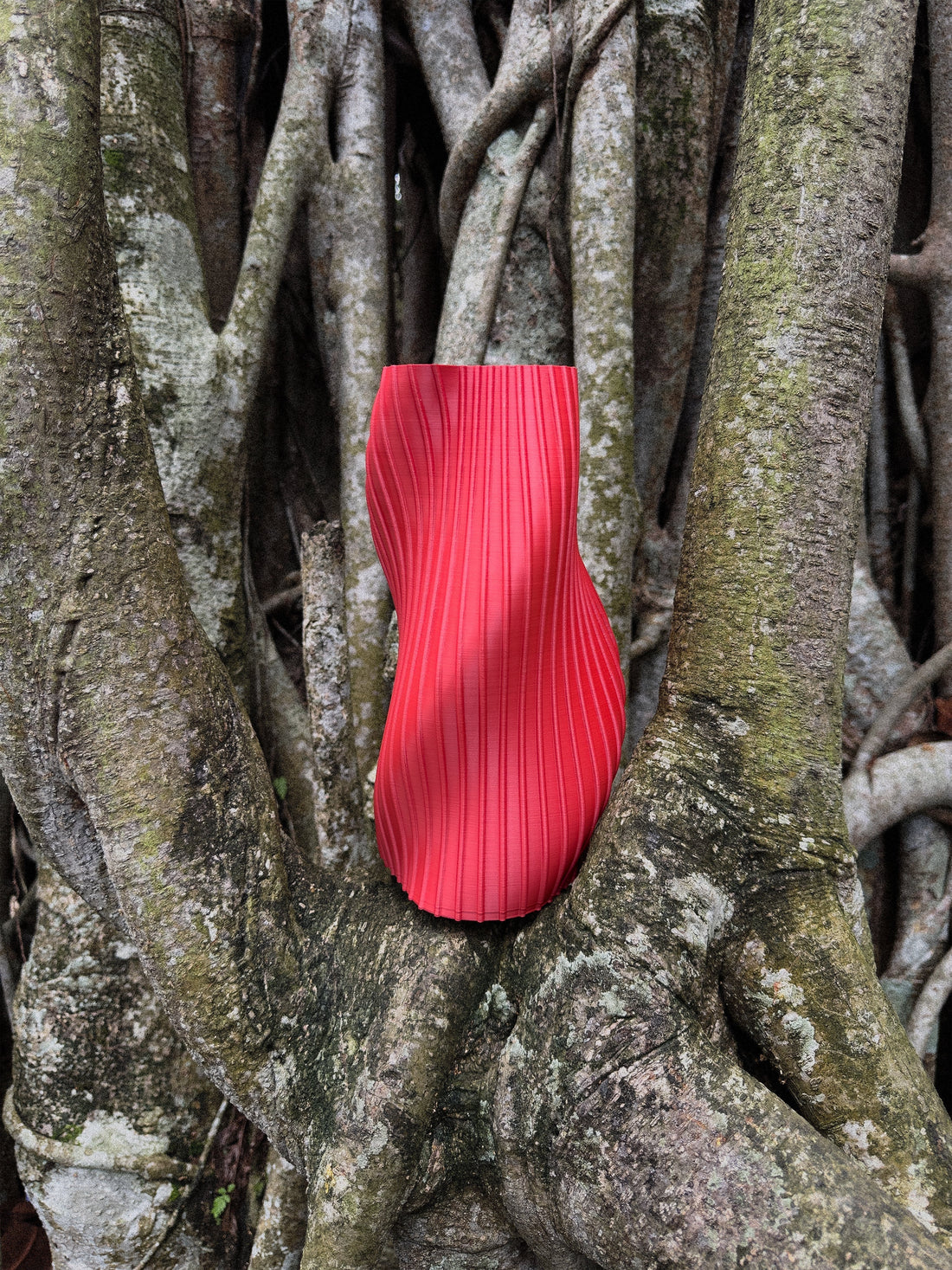 Red 3D printed vase by OBJ STUDIO placed among tree roots, highlighting sculptural form and nature-inspired sustainable design.