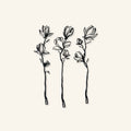 Line Art Flower