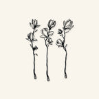 Line Art Flower
