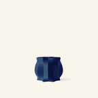 Série Cao _ Petit
