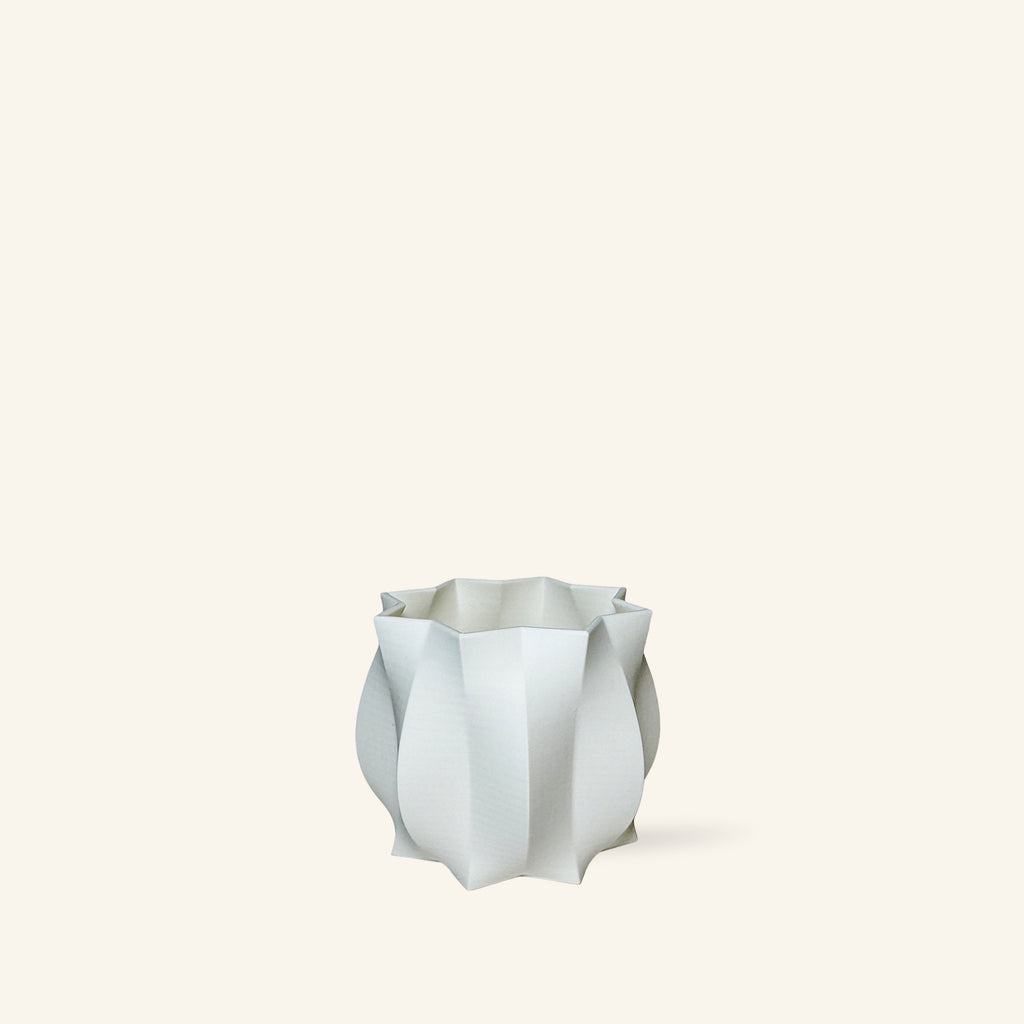 Série Cao _ Petit