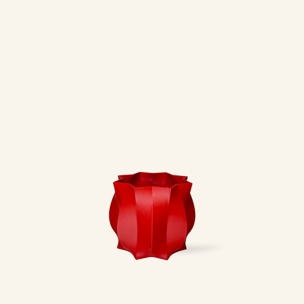 Série Cao _ Petit