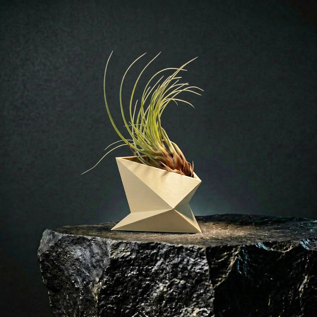 Série Zen _ Petit