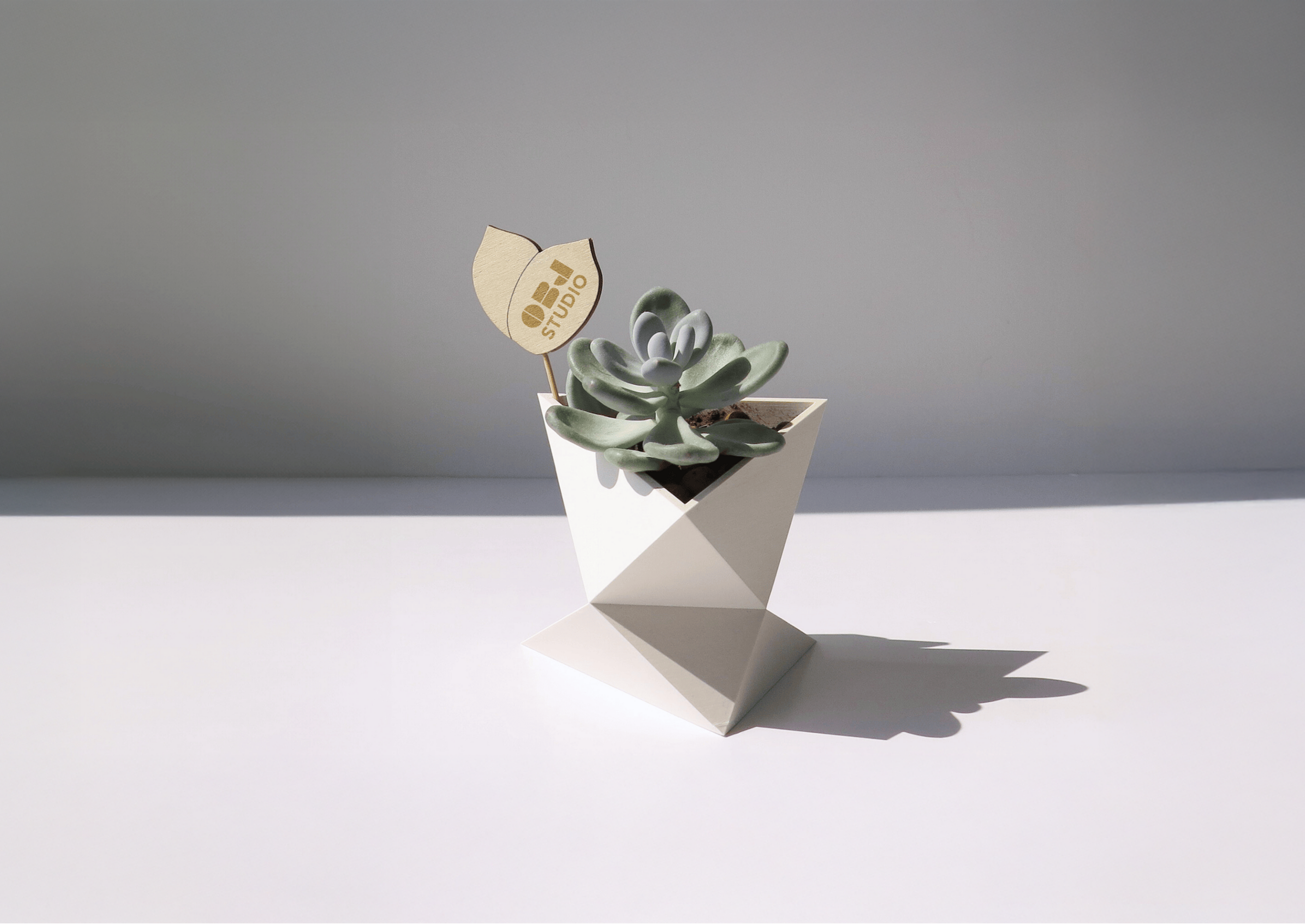 Minimalist plant pot, Indoor 3D printed planter, Lightweight sustainable pots