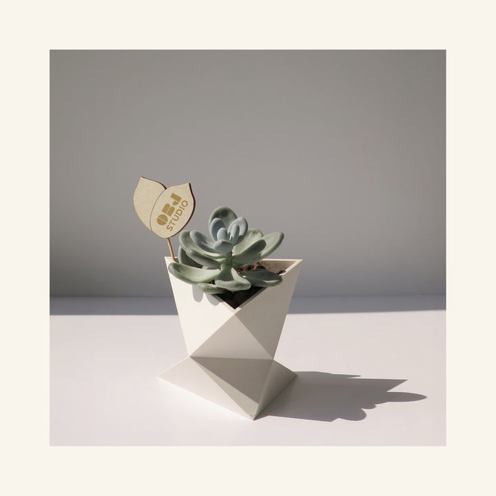 Zen Series Small Planter styled with succulent, sustainable 3D printed planter for small spaces