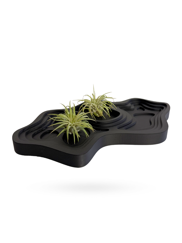 anniversary gifts for him, wall decor, artificial plants, bathroom remodel ideas, birthday gift ideas, anniversary gifts for her, 