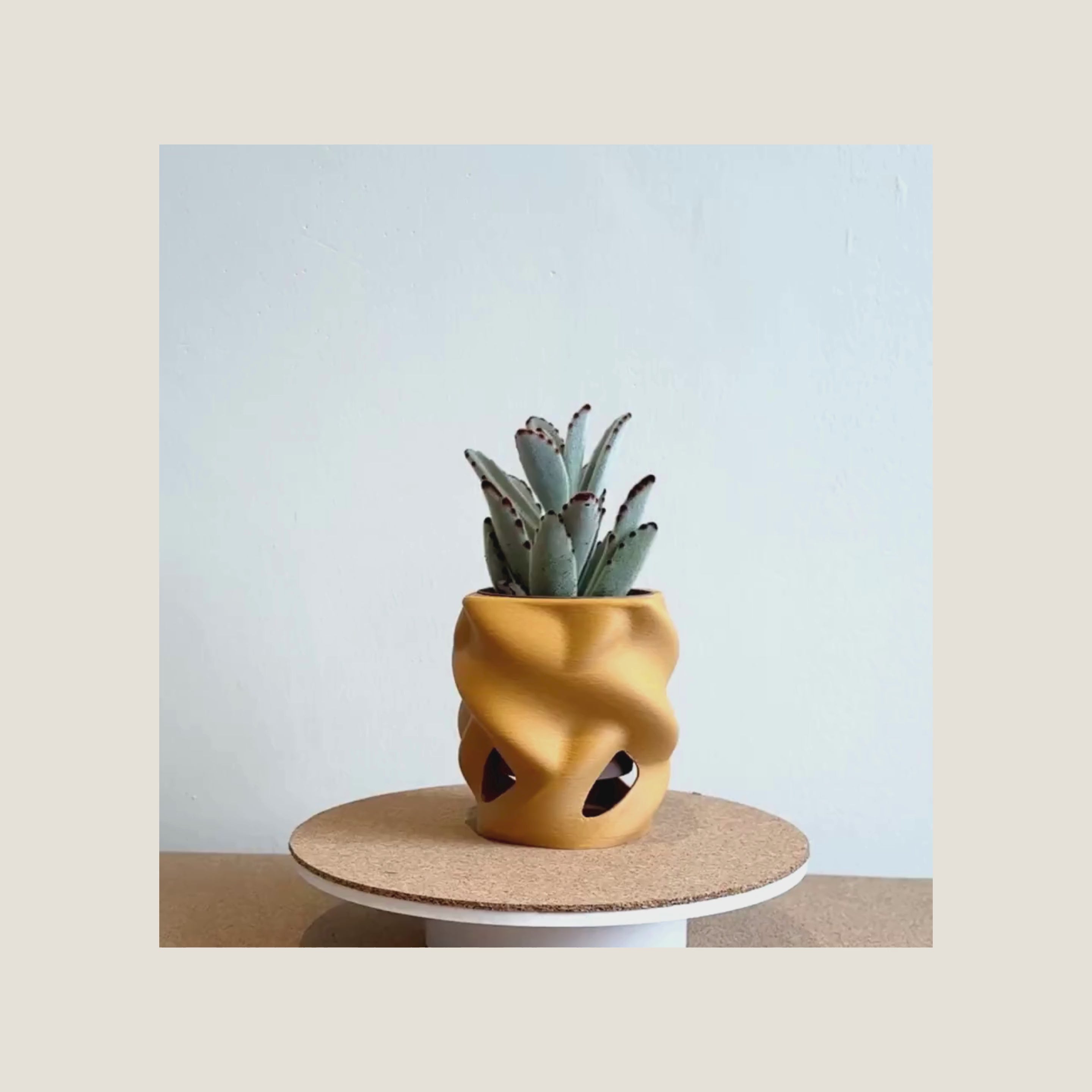 Biomorph Planter